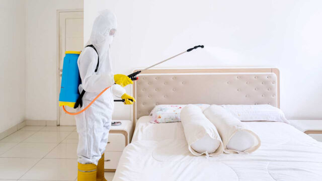 Bed Bug Treatment for Rental Properties Murray UT for apartment buildings and rental homes