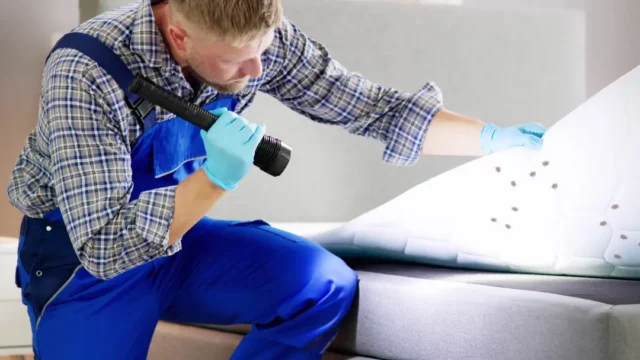 Bed Bug Treatment for Rental Properties Murray UT professional extermination service