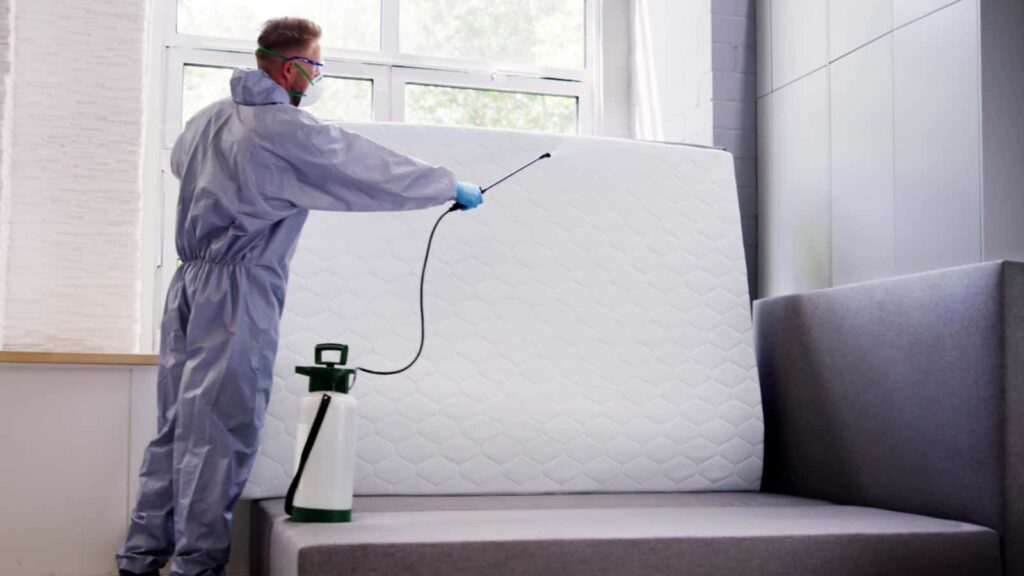 Professional Bed Bug Treatment for Rental Properties Murray UT in a multi-family rental home