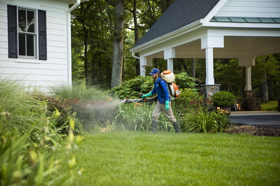 Professional Mosquito Control for Backyard Events Draper UT technician treating a residential backyard before an outdoor event