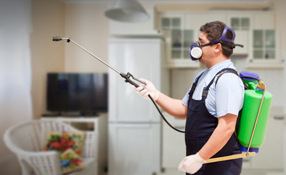 Year-round Recurring Pest Prevention Plans Riverton UT residential service