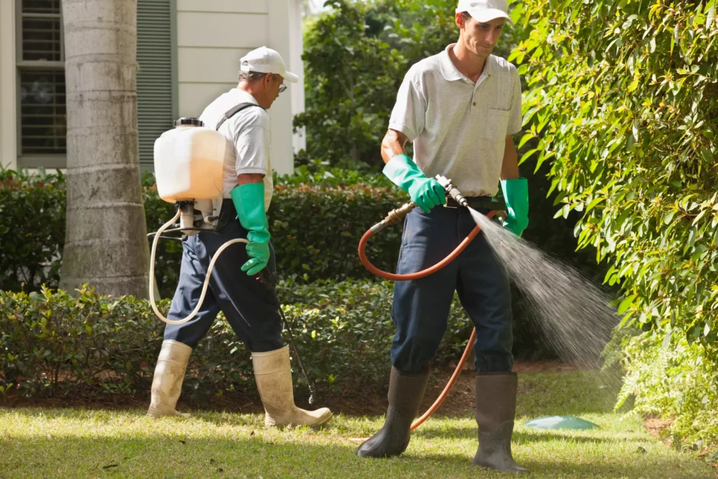 Mosquito Control for Backyard Events Draper UT backyard inspection