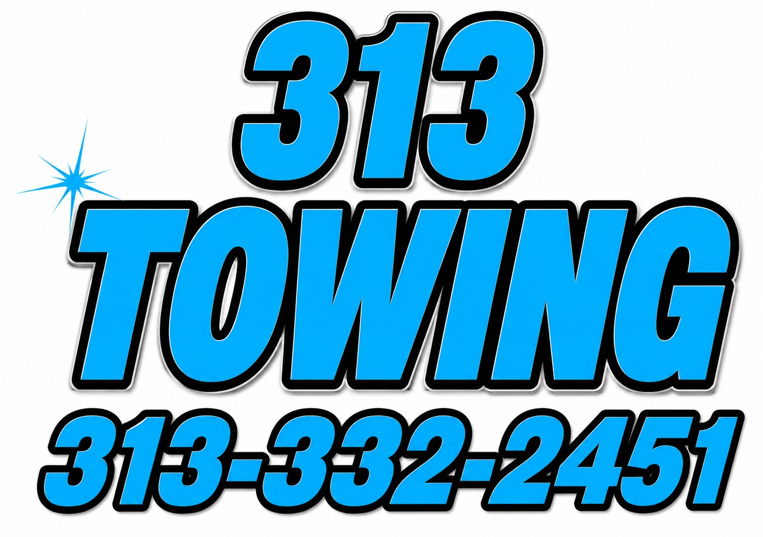 313 Towing